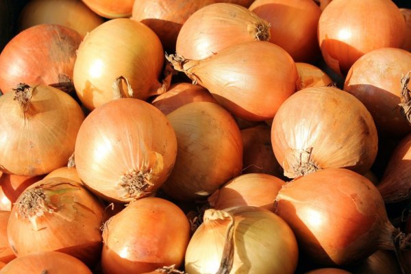 Kraken адрес onion